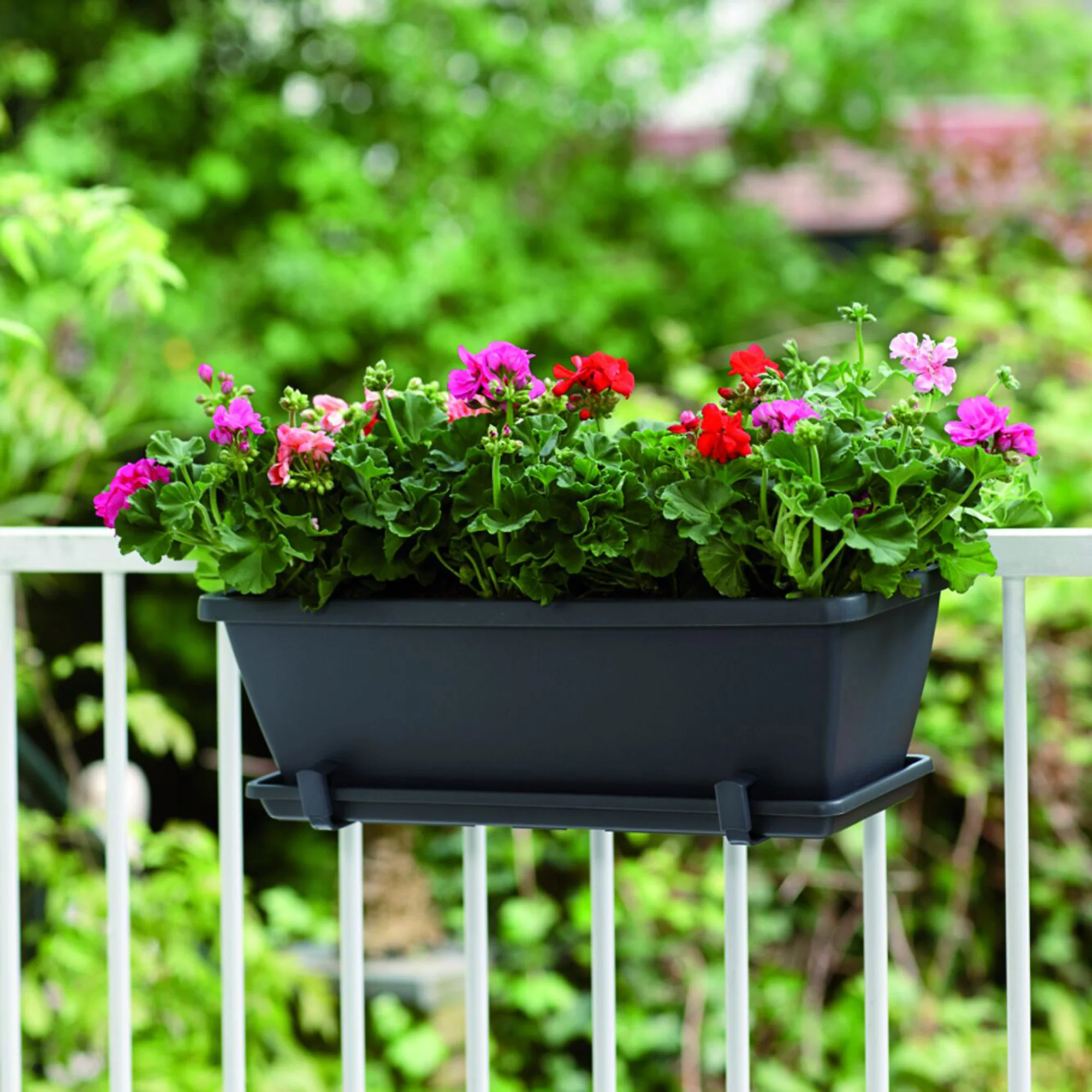 OPC 2973 En vedettes S12/13/14